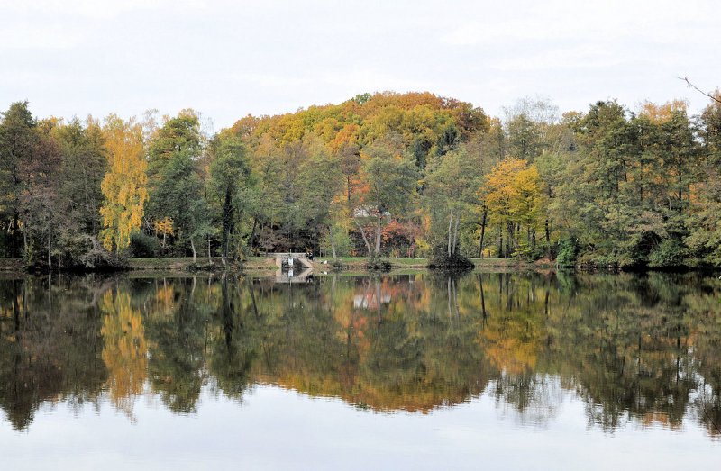 Herbstwaldspiegelung im See an der Steinbachtalsperre - 27.10.2009