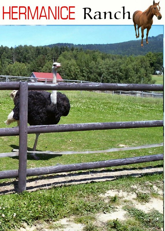 Hermanice, Lausitzer Gebirge (Nordbhmen)
2004