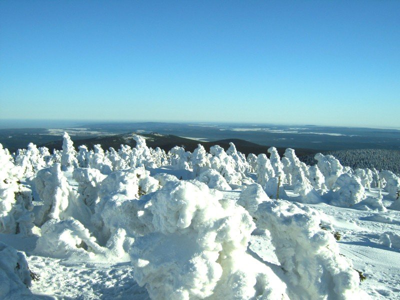 Herrlicher Weitblick ber vereiste Bume, Brocken 14.01.06