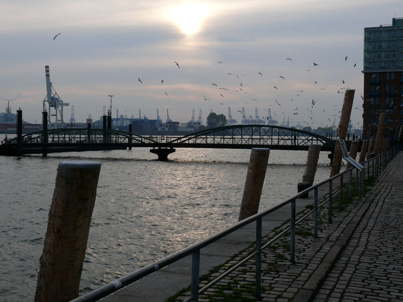 Herstnachmittag an der Elbe bei St. Pauli; Hamburg, 31.10.2009