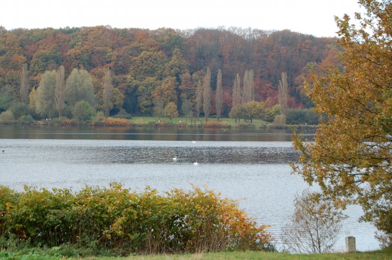 Hier der Blick ber den See von der Herbeder Seite aus.