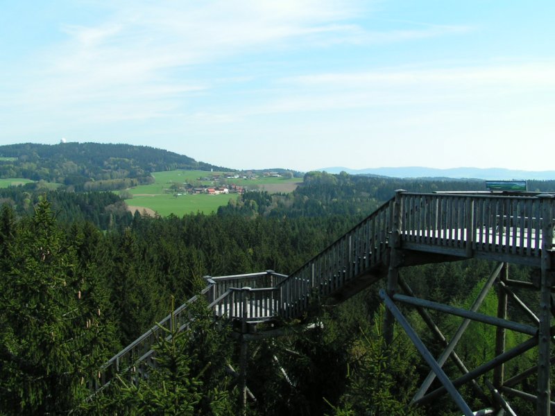 Hoch ber den Wipfeln des Innviertels fhrt der Baumkronenweg in Kopfing; 080428