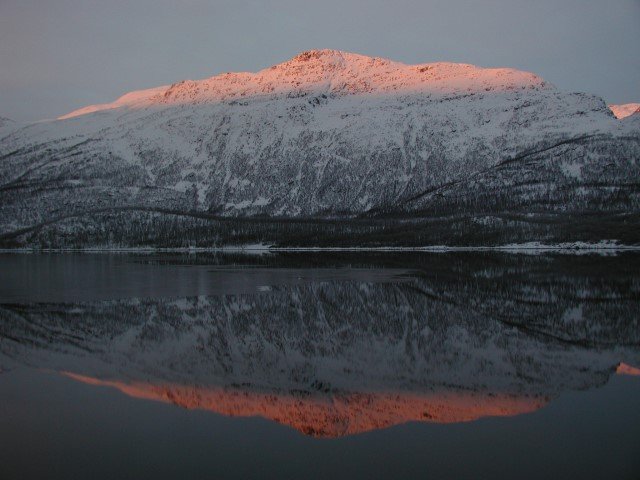 Im Land der roten Bergspitzen. Am Ende der zweimonatigen Polarnacht erreichen die Sonnenstrahlen noch nicht die Fjorde und Tler. Fr ein paar Tage leuchten dann nur die Bergspitzen rot. Langfjorden, 23.01.2001