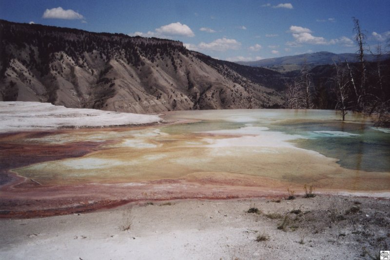 Im nordwestlichen Wyoming liegt der Yellowstone Nationalpark. Es handelt sich hierbei um den ltesten Nationalpark der Erde. Er wurde bereits im Jahr 1872 unter Naturschutz gestellt. Mit einer Flche von 8987 m gehrt er auch zu den grten Nationalparks. Seinen Namen erhielt er durch das gelbe Gestein welches man im Grand Canyon des Yellowstone vorfinden kann. Seit den Jahre 1978 gehrt er auch zum UNESCO Weltnaturerbe. Auf den Bild sind die Sinter-Terrassen von Mammoth Hot Springs zu sehen, wo das Wasser, welches sich in den Terrassen angesammelt hat in den verschiedensten Farben leuchtet. Am 18. Juli 2006 entstand das Foto, whrend unseres Besuches in Yellowstone.