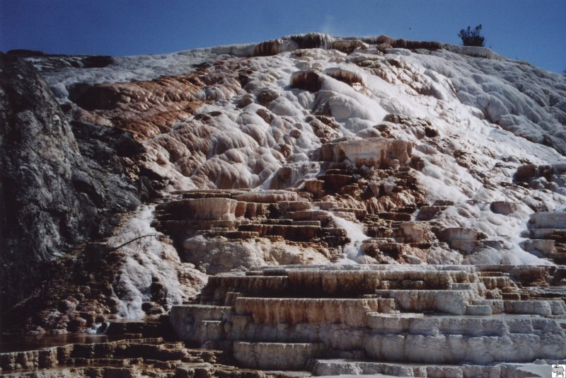 Im nordwestlichen Wyoming liegt der Yellowstone Nationalpark. Es handelt sich hierbei um den ltesten Nationalpark der Erde. Er wurde bereits im Jahr 1872 unter Naturschutz gestellt. Mit einer Flche von 8987 m gehrt er auch zu den grten Nationalparks. Seinen Namen erhielt er durch das gelbe Gestein welches man im Grand Canyon des Yellowstone vorfinden kann. Seit den Jahre 1978 gehrt er auch zum UNESCO Weltnaturerbe. Auf den Bild sind die Sinter-Terrassen von Mammouth Hot Springs zu sehen, die man auf Holzstegen durchlaufen kann. Dies taten wir auf unserer USA Reise am 18. Juli 2006.