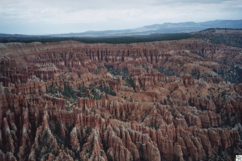 Im Sden des US Bundesstaates Utah liegt einer der wohl beeindruckensten Canyons dieser Erde: Der Bryce Canyon. Benannt nach den Siedler Ebenezer Bryce, welcher 1875 in das Paria Valley kam um Holzwirtschaft zu betreiben. Seine Nachbarn nannten den hinter seinen Haus gelegenen Canyon Bryce's Canyon. Tausende durch Erosion bearbeitete Sandsteine, genannt Hoodoos, scheinen aus der Erde zu wachsen und bilden einen atemberaubenden Blick auf diesen sagenhaften Canyon. Am 21. Juli 2006 besuchten wir auf unserer USA Reise von Denver in Colorado nach Los Angeles in Kalifornien den Bryce Canyon. Kurze Zeit vorher ging ein Regenschauer ber den Canyon nieder, wodurch die Farben des Sandsteines in einen schnen krftigen rot-orange erstrahlten. Das Bild zeigt das  Bryce Amphitheater  vom Bryce Point aus fotografiert.