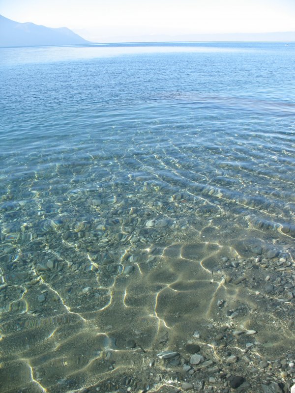 Im Winter ist das Wasser im Genfersee sehr klar.
(Januar 2008)