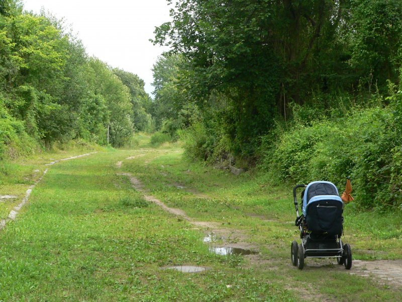 Impression von einem Tagesausflug nach Kostrzyn. 07/2009