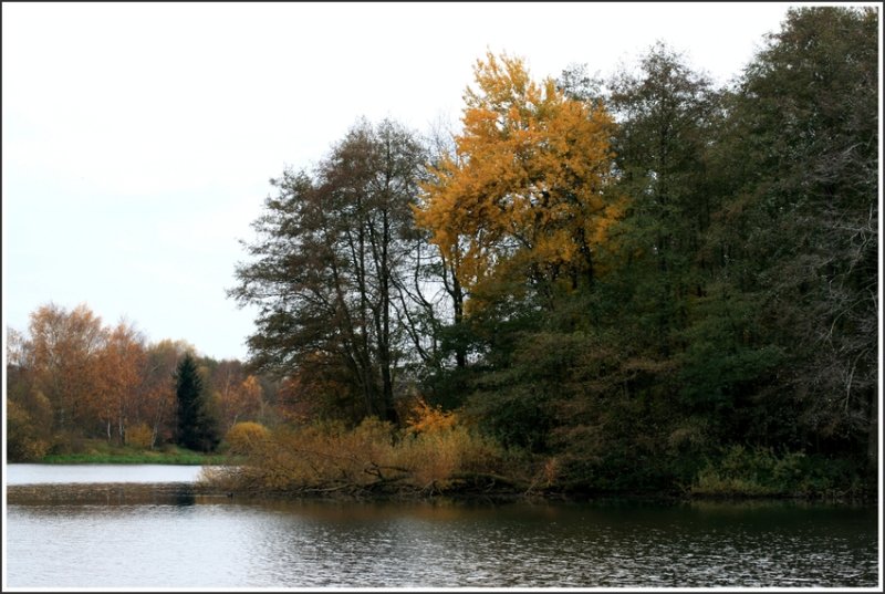 Impressionen von einem Herbstspaziergang am Erlensee in Kirchhain (Hessen - 12 km von Marburg entfernt)