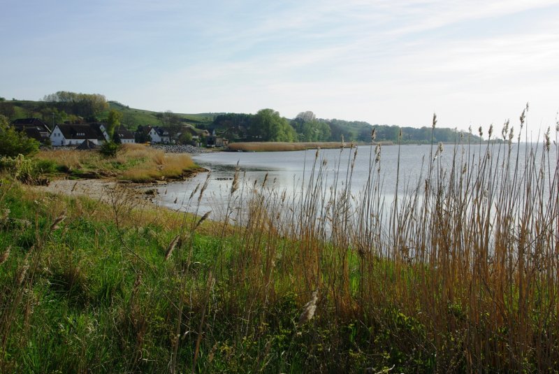 Impressionen eines strmischen Tages am Ufer des grossen Jasmunder Boddens