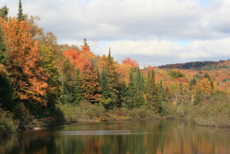 Indian Summer am Creek River in Ontario; 04.10.2008