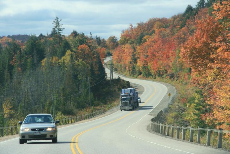 Inian Summer am Ontario Kings Highway 60. Das Foto entstand am Ende eines Staus im Rckspiegel meines Wagens; 04.10.2008