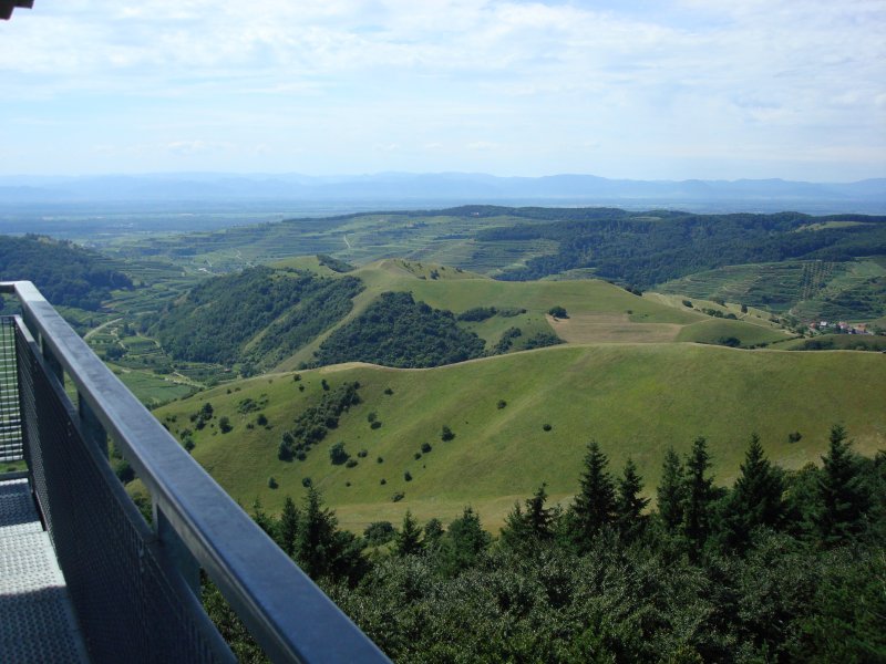 Kaiserstuhl/Baden
Blick vom 28m hohen Aussichtsturm auf der Eichelspitze 520m hoch
auf das Naturschutzgebiet  Badberg  im Hintergrund die Vogesen