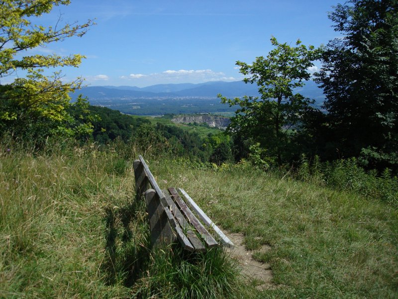 Kaiserstuhl/Baden
Blick in die Rheinebene,im Hintergrund die Schwarzwaldberge
Juli 2008