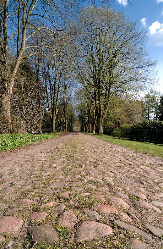 Kirchlinteln, Alte Weitzmhlener Strae im April 2008