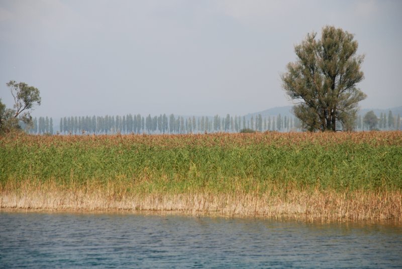 KONSTANZ, 19.09.2009, Blick über das Wollmatinger Ried auf die zur Insel Reichenau führende Allee