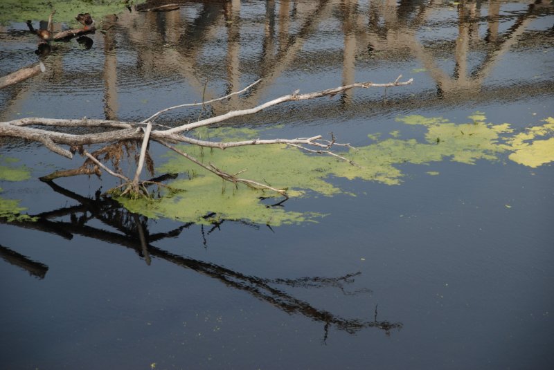 KOSTRZYN nad Odrą, 16.09.2009, an der Warthe