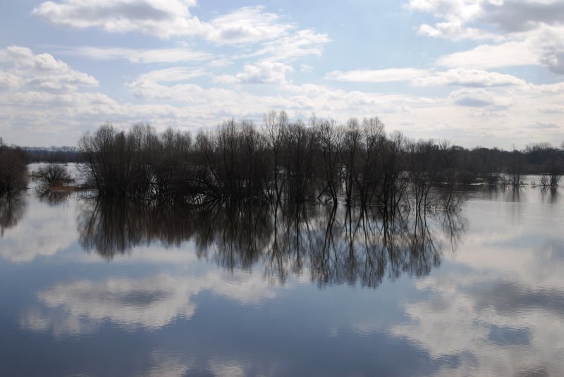 KOSTRZYN nad Odrą, 25.03.2009, Park Narodowy  Ujście Warty  (Nationalpark  Warthemündung )