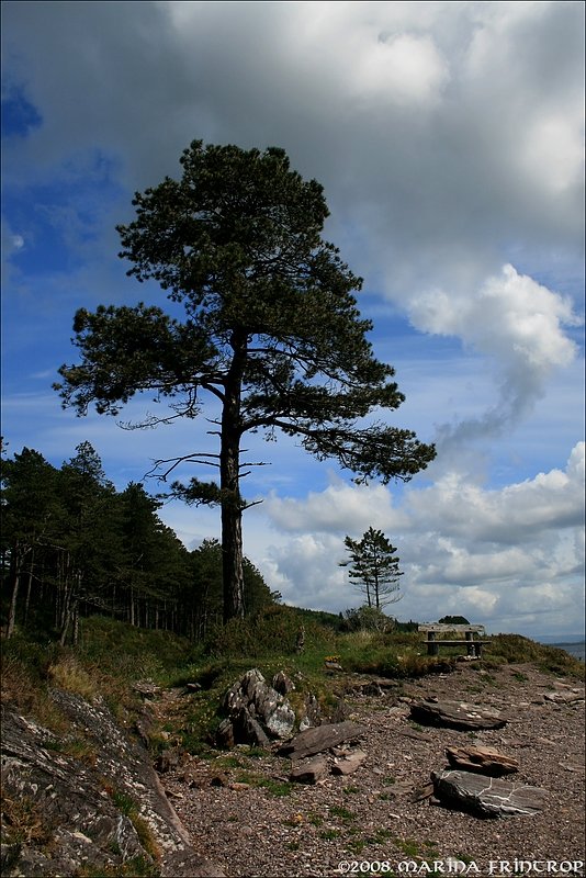 Kste am Ring of Kerry, Irland Co. Kerry.