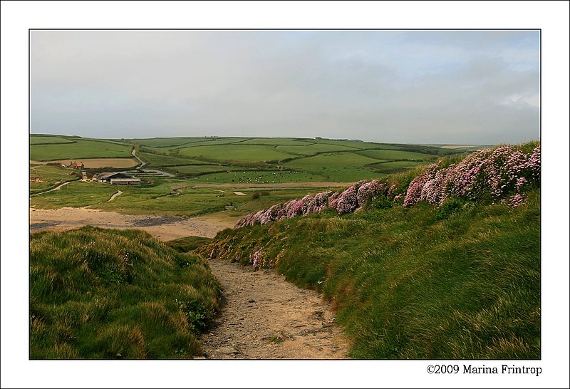 Kstenwanderweg von der Poldhu Cove zur Church Cove bei Gunwalloe, The Lizard Cornwall England.