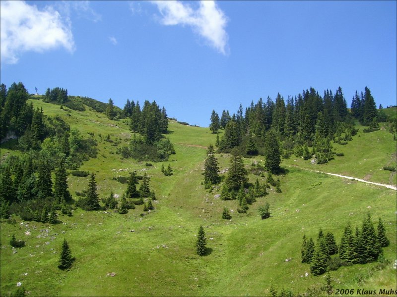 Kurz vor dem dem Gipfel des Rauschberges, knnte auch eine Modellbahnlandschaft sein.