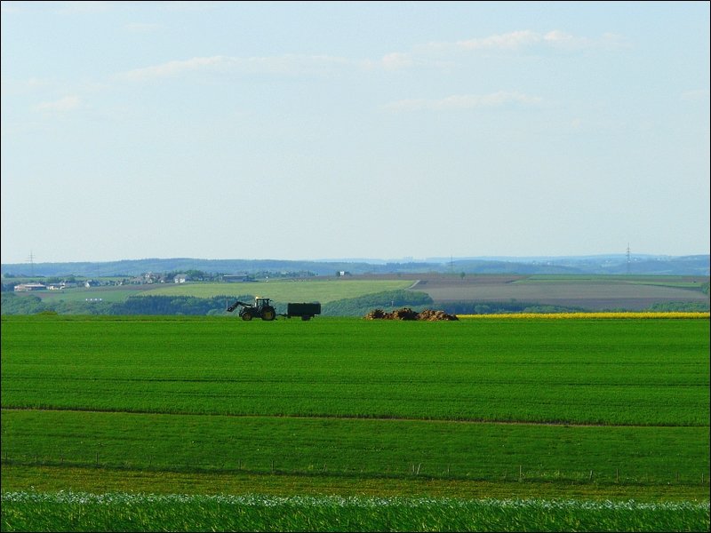 Lndliche Idylle aufgenommen in der Nhe von Kehmen am 12.05.08.