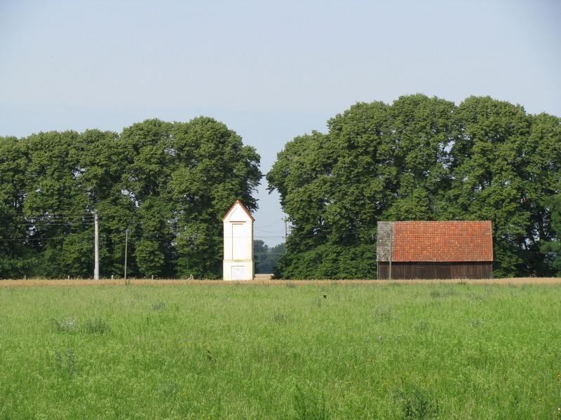 Landkreis Parchim, mecklemburgische Sommerlandschaft bei Sukow 02.08.2009