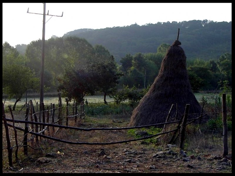 Landleben - Heuhaufen auf einem Bauernhof in Turnadere (Sakarya in der Trkei)