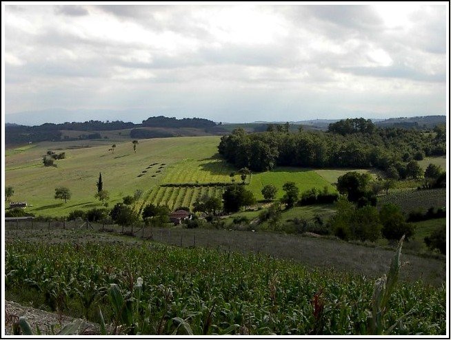 Landschaft auf dem Weg zum Schwarzen Meer (Trkei/Sakarya)