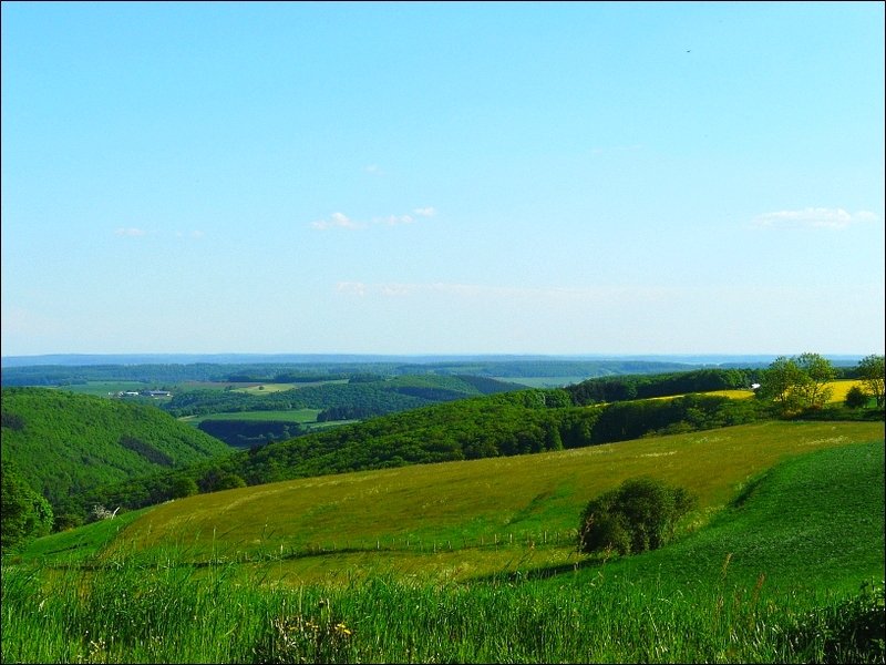 Landschaft aufgenommen am Dorfrand von Bourscheid am 12.05.08.