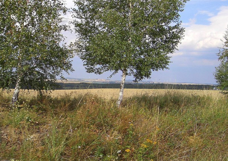 Landschaft bei Bertsdorf, Blickrichtung Zittauer Becken, Sommer 2007