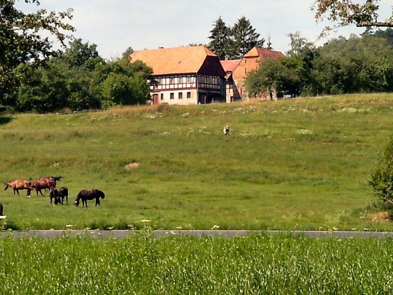 Landschaft bei Hrnitz, Sommer 2004