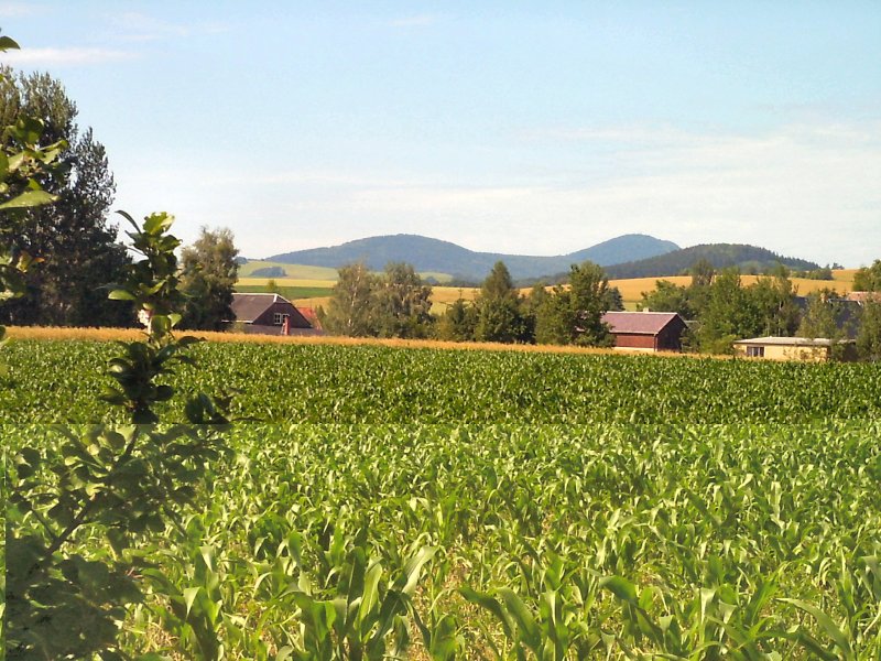 Landschaft bei Hrnitz, Zittauer Gebirge im Sommer 2004