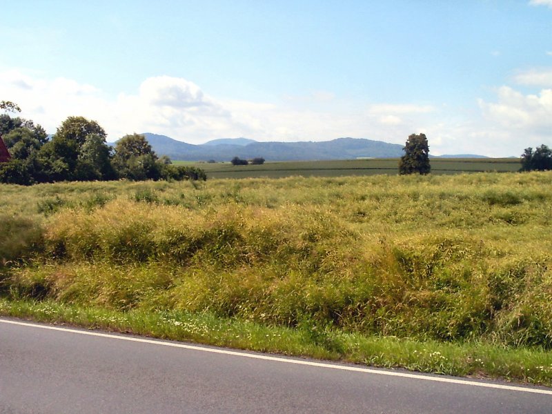 Landschaft bei Hrnitz, Zittauer Gebirge im Sommer 2004