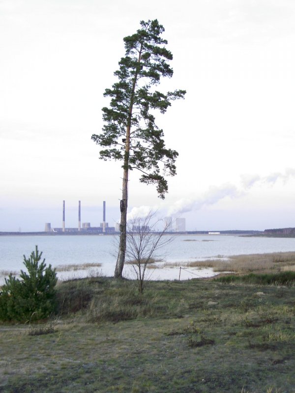 Landschaft vom ehem. Tagebau in der Nhe von Boxberg