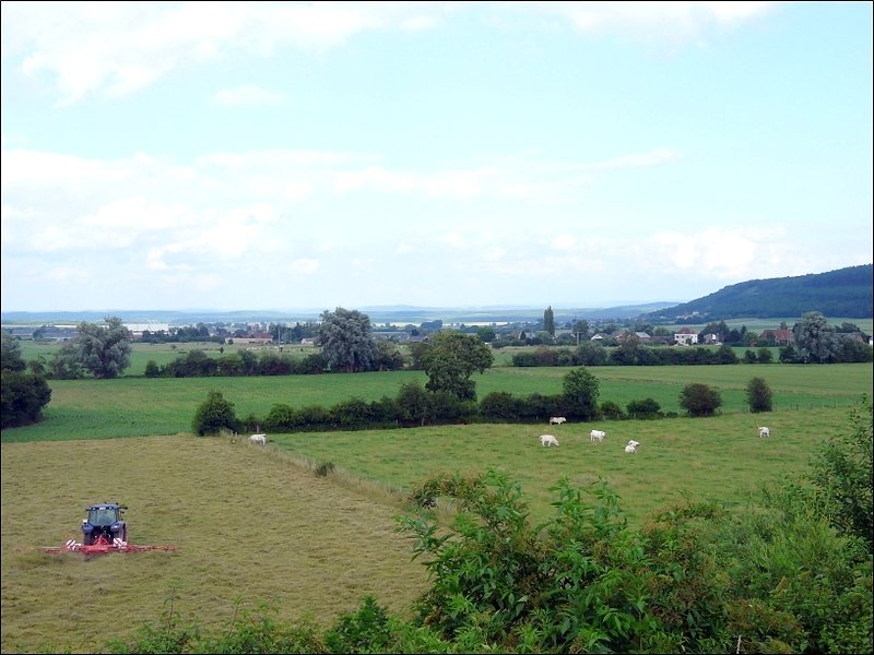 Landschaft fotografiert in der Nhe von Beauraing am 28.06.08. (Jeanny)