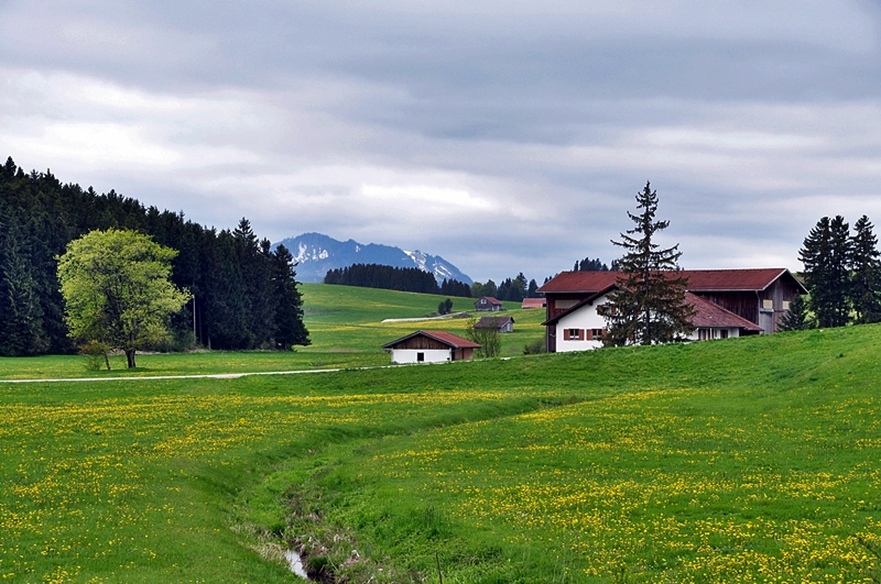 Landschaft hinter Lengenwangen Richtung Fssen