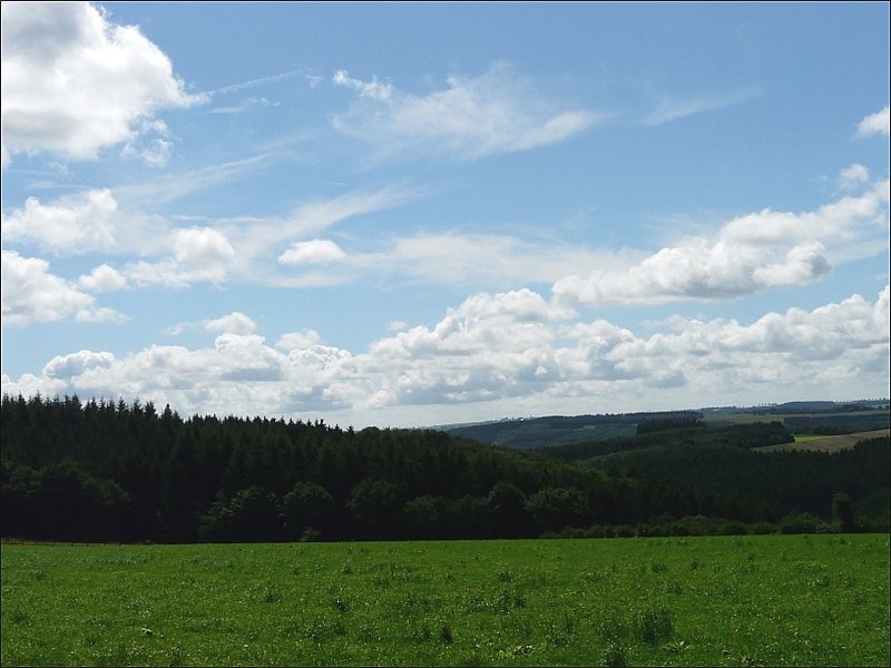 Landschaft zwischen Nothum und Roullingen aufgenommen am 04.07.08. (Jeanny)