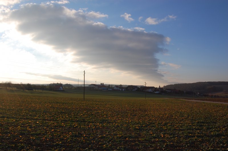 Leuchtende Erde. Das Laub und die aufgeworfenen Erdschollen geben ein schn schimmerndes Abendbild