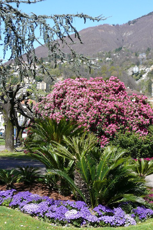 Locarno - Stadtpark am 07.04.2008