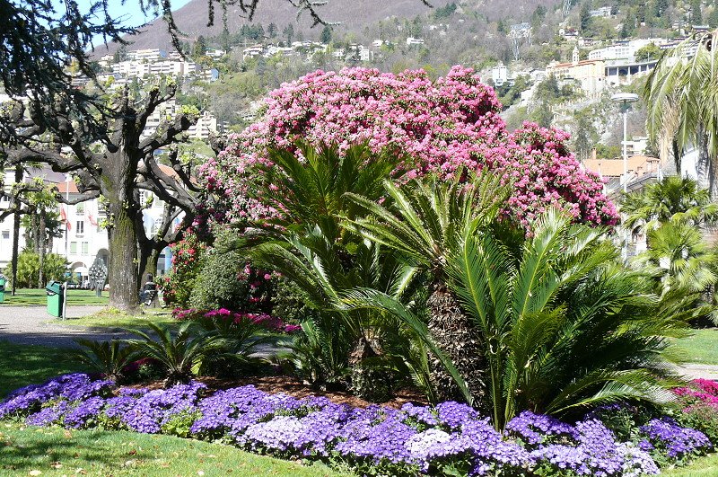 Locarno - Stadtpark am 07.04.2008