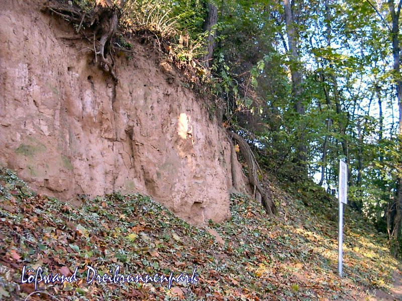 Lwand im Dreibrunnenpark Erfurt, Foto von 2005