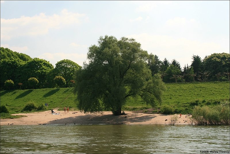 Mai 2008 - Frhling am Rheinufer bei Duisburg-Orsoy.