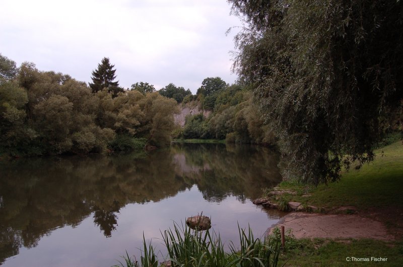 Main Blick auf den Trimeusel von Nedensdorf aus. 02.09.2007 (Der Prallhang des Mains am Trimensel ist der wohl eindrucksvollste Lias-Aufschluss Nordbayerns. Hier ist die maechtigste Ausbildung des Posidonienschiefers in ganz Nordbayern anzutreffen. Markante Schichtglieder sind die Monotisbank und die Saurierschicht THEODORIS. Der Aufschluss ist als Fossilfundstelle bekannt; Sammeln ist jedoch untersagt. laut Bayerischem Geologischen Landesamt)