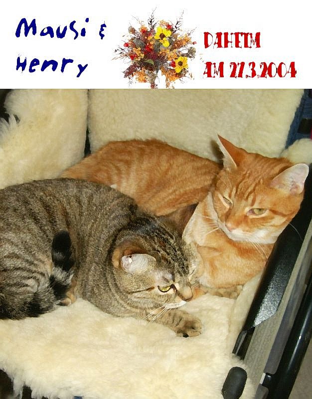 Mausi und Henry
2004