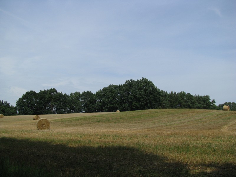 mecklenburgische Landschaft bei Ghren im Landkreis Parchim 02.08.2009