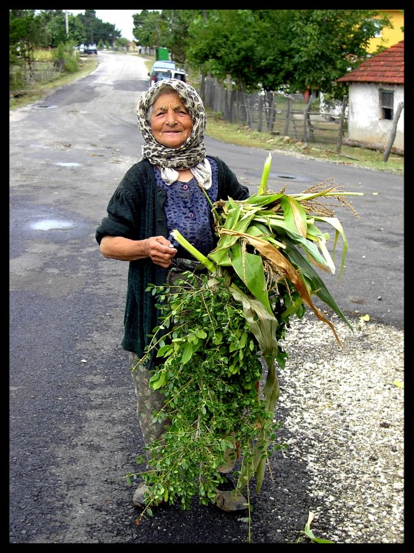 Menschen auf dem Lande... Das Dorf Cebeci in der Region Izmit am Schwarzen Meer in der Trkei