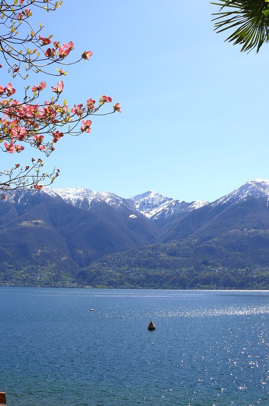 Minusio - Blick ber den Lago Maggiore Richtung Sden am 07.04.2008