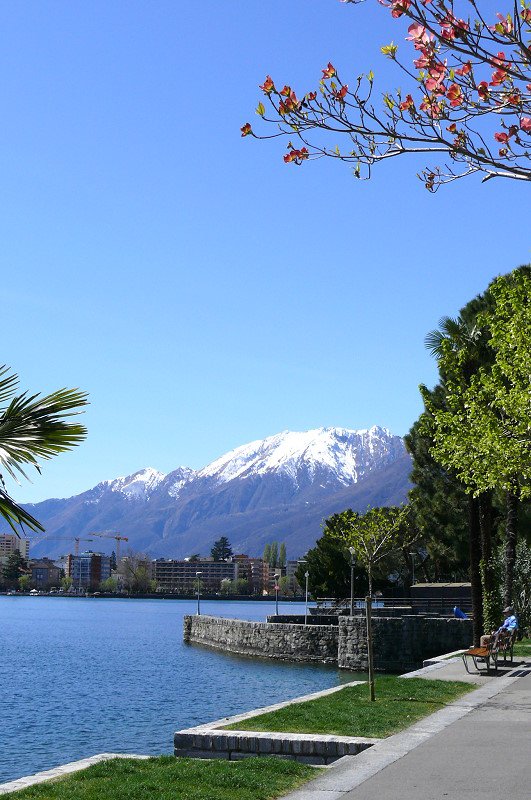 Minusio - Blick ber den Lago Maggiore Richtung Sden am 07.04.2008