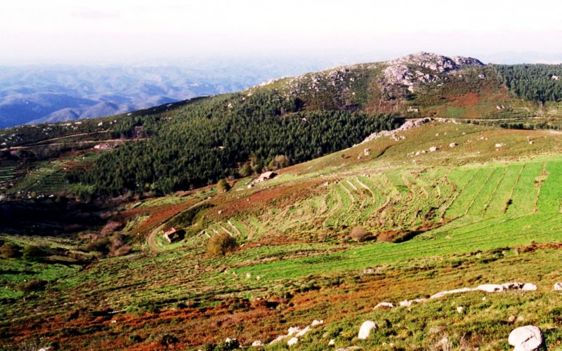 MONCHIQUE, 12.11.1998, auf dem Pico da Fóia, dem mit 902 m höchsten Berg der Serra de Monchique -- Foto eingescannt